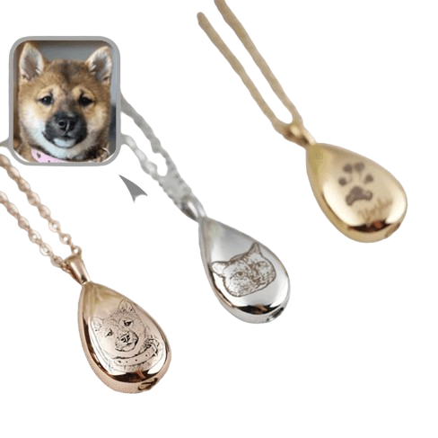 Custom Photo And Name Pendant Urn For Pet Ashes Pingo