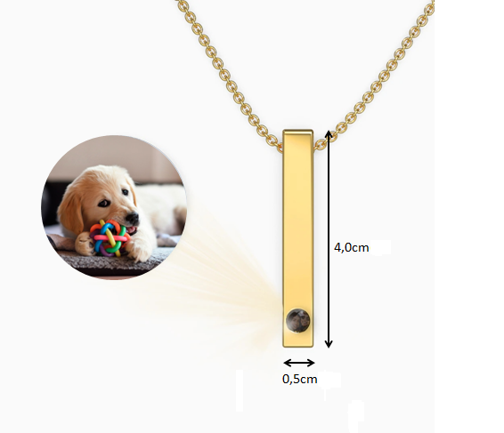 Custom 3D Infinite Pet Photo Rectangle Pendant